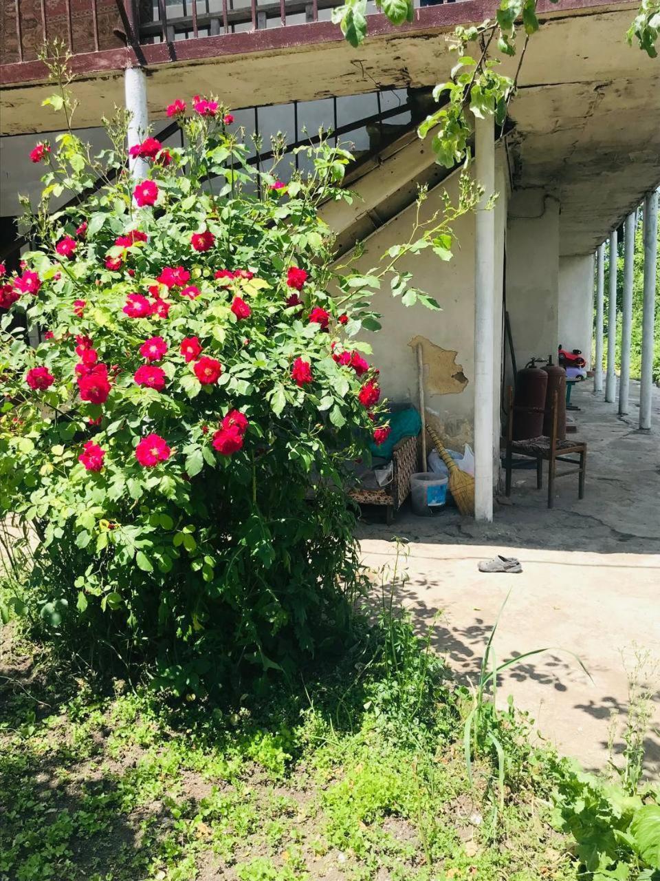 Dzoragyugh B&B Екстериор снимка
